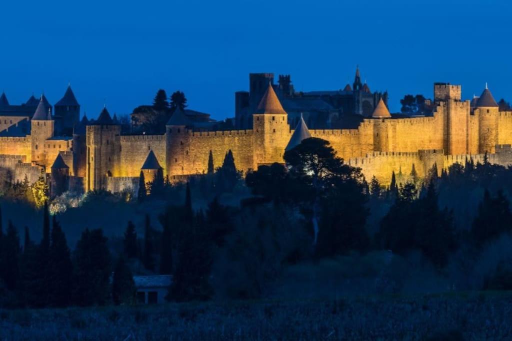 Le Panoramique - Sublime Vue Sur La Cite Appartement Carcassonne